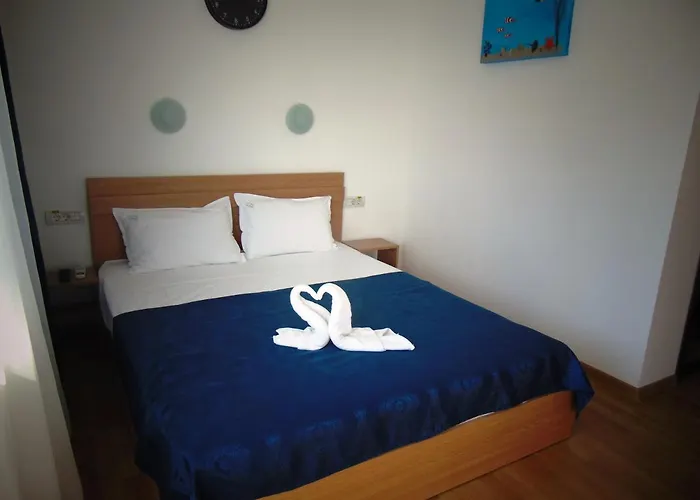 Pensiune Casa Albatros 3*